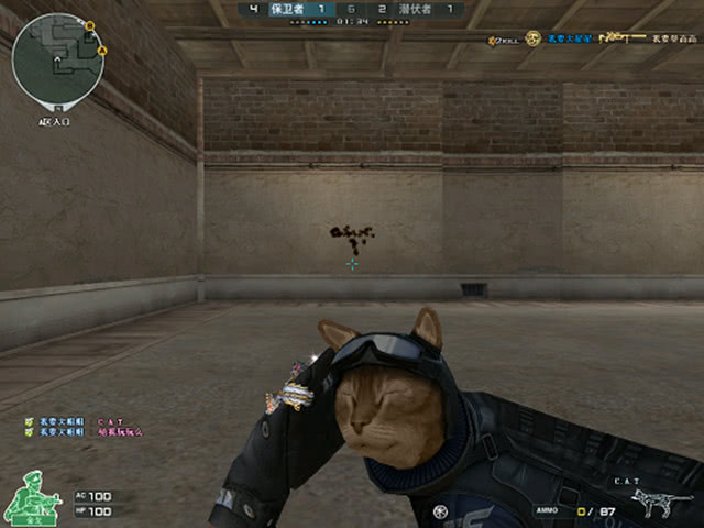 Cat拿到冠军并且荣膺FMVP后泪洒现场：这一次我不想再留遗憾